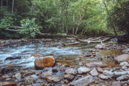 Backbone Rock, Shady Valley Tennessee