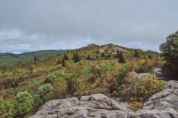 Grayson Highlands State Park