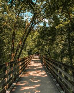 Virginia Creeper Trail Trestle 1 in Abingdon Virginia